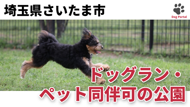 最新 埼玉県さいたま市のドッグラン ペット可公園 21件 最新 埼玉県さいたま市のドッグラン ペット可公園 21件