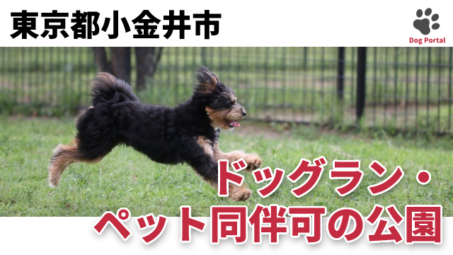 最新 東京都小平市のドッグラン ペット可公園 3件