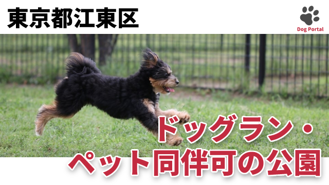 東京都江東区のドッグラン ペット可公園 11件