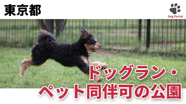 最新 東京都のドッグラン ペット可公園 169件