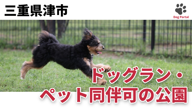 最新 三重県津市のドッグカフェ ペット可飲食店 5件 最新 三重県津市のドッグカフェ ペット可飲食店 5件