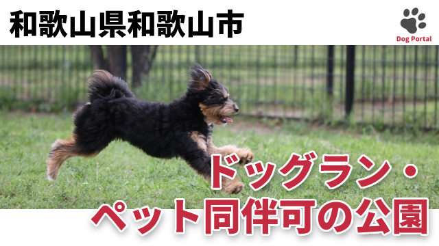 和歌山県和歌山市のドッグラン ペット可公園 8件