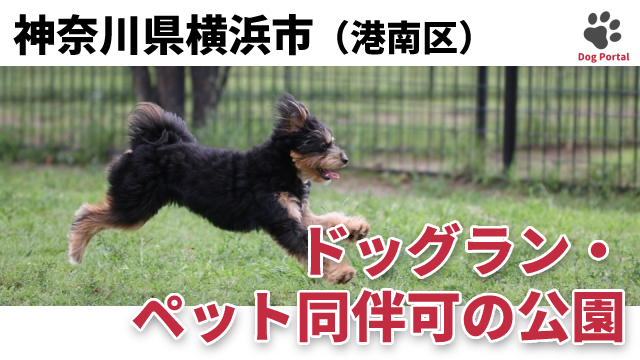 最新 横浜市戸塚区のドッグラン ペット可公園 4件 最新 横浜市戸塚区のドッグラン ペット可公園 4件
