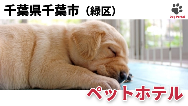 最新 千葉市緑区のドッグラン ペット可公園 5件 最新 千葉市緑区のドッグラン ペット可公園 5件