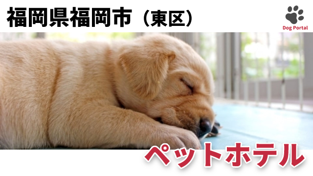 最新 福岡市東区のドッグカフェ ペット可飲食店 10件