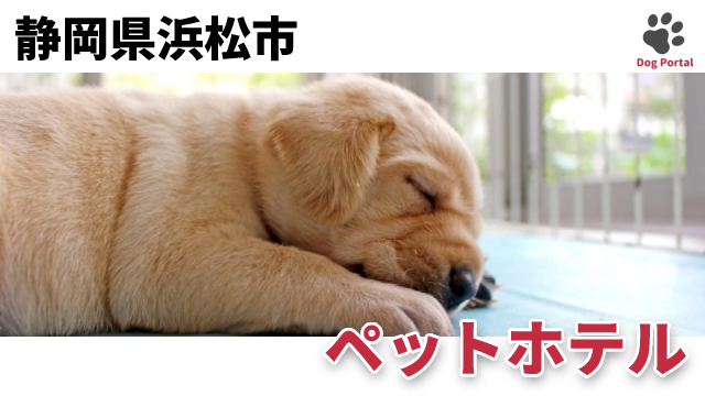 最新 静岡県浜松市のドッグカフェ ペット可飲食店 39件 最新 静岡県浜松市のドッグカフェ ペット可飲食店 39件