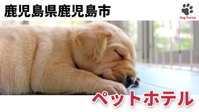 最新 鹿児島県鹿児島市のドッグカフェ ペット可飲食店 10件 最新 鹿児島県鹿児島市のドッグカフェ ペット可飲食店 10件