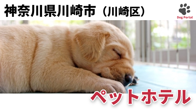 最新 川崎市川崎区のドッグカフェ ペット可飲食店 件 最新 川崎市川崎区のドッグカフェ ペット可飲食店 件