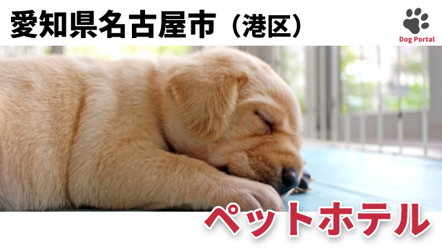 最新 名古屋市港区のペットホテル 13件 最新 名古屋市港区のペットホテル 13件