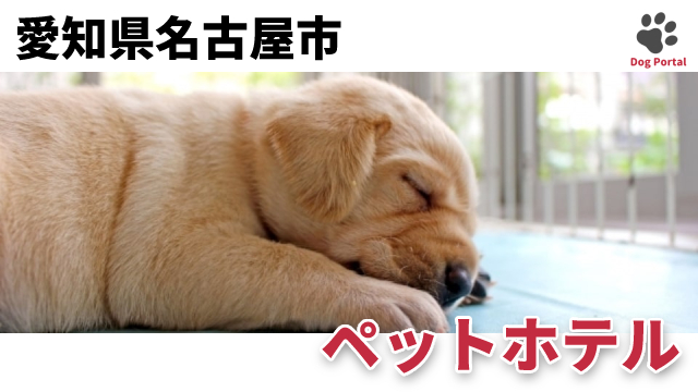 最新 愛知県名古屋市のペットホテル 1件