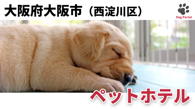 最新 大阪市淀川区のペットホテル 6件