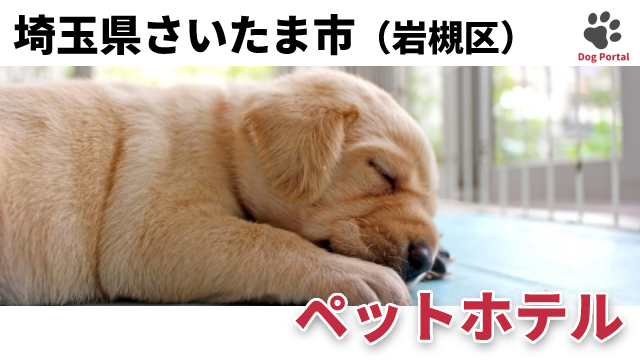 さいたま市見沼区のペットホテル 14件 2ページ目 さいたま市見沼区のペットホテル 14件 2ページ目