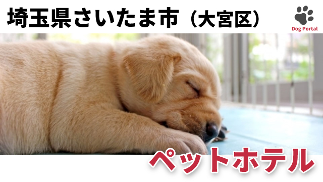最新 さいたま市大宮区のドッグカフェ ペット可飲食店 16件 最新 さいたま市大宮区のドッグカフェ ペット可飲食店 16件