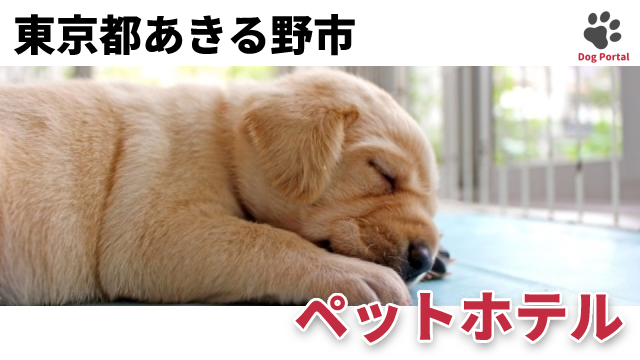 Yg79ea5lkaoqgm Yg79ea5lkaoqgm