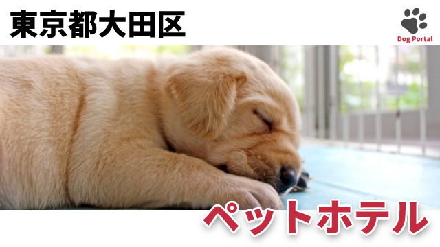 最新 東京都大田区のドッグラン ペット可公園 9件 最新 東京都大田区のドッグラン ペット可公園 9件