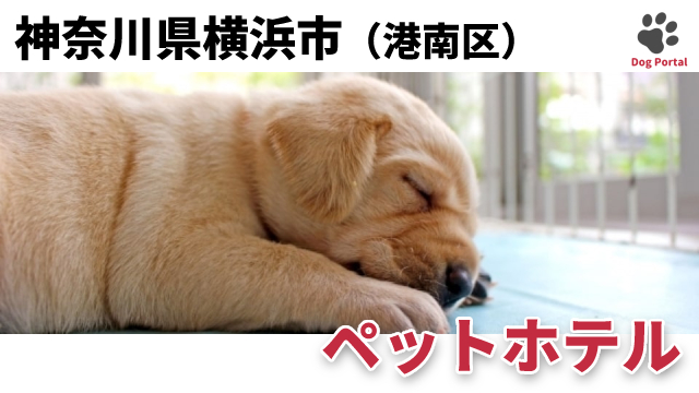 最新 横浜市金沢区のペットホテル 11件 最新 横浜市金沢区のペットホテル 11件