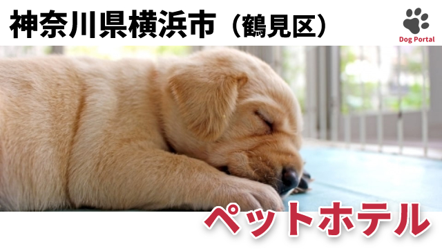 横浜市神奈川区のペットホテル 14件