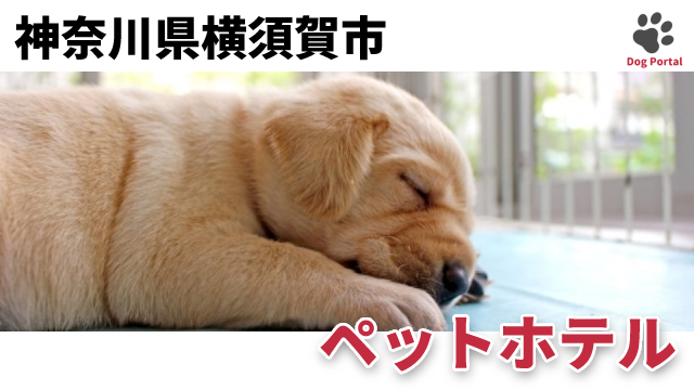 最新 神奈川県横須賀市のドッグラン ペット可公園 16件 最新 神奈川県横須賀市のドッグラン ペット可公園 16件