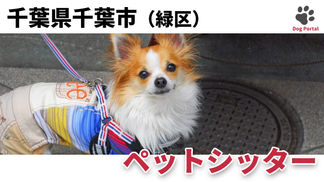 最新 千葉市緑区のドッグラン ペット可公園 5件 最新 千葉市緑区のドッグラン ペット可公園 5件