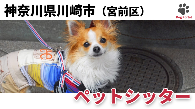 最新 川崎市宮前区のドッグカフェ ペット可飲食店 8件 最新 川崎市宮前区のドッグカフェ ペット可飲食店 8件