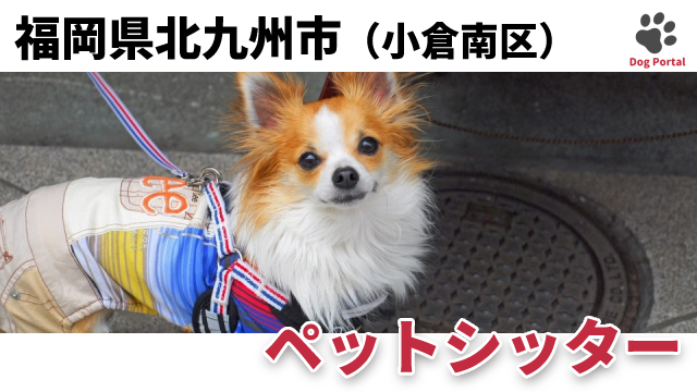 最新 北九州市小倉南区のドッグカフェ ペット可飲食店 3件