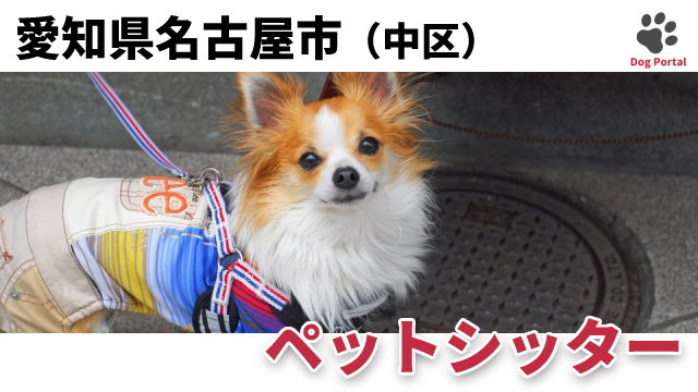 最新 名古屋市中区のドッグカフェ ペット可飲食店 35件 最新 名古屋市中区のドッグカフェ ペット可飲食店 35件