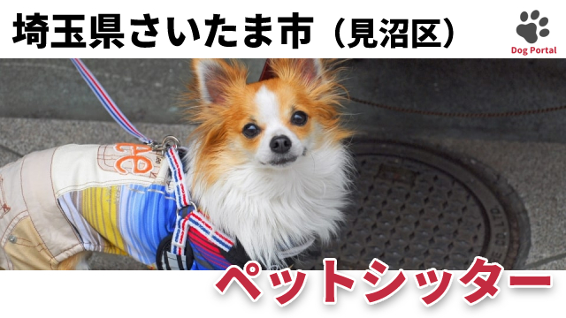 さいたま市見沼区のペットホテル 14件 2ページ目 さいたま市見沼区のペットホテル 14件 2ページ目