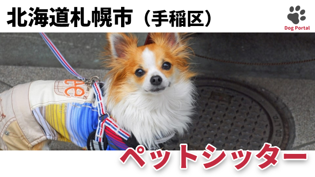 札幌市手稲区のトリミングサロン 14件