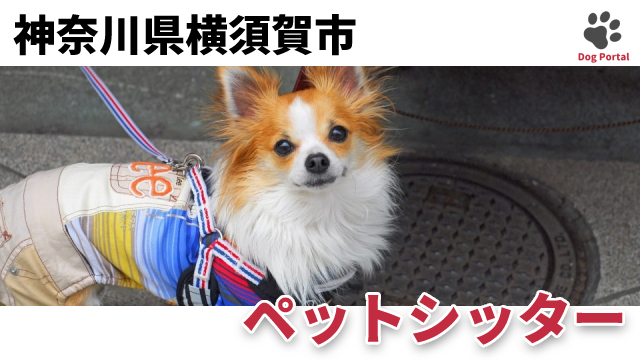 最新 神奈川県横須賀市のドッグラン ペット可公園 16件 最新 神奈川県横須賀市のドッグラン ペット可公園 16件