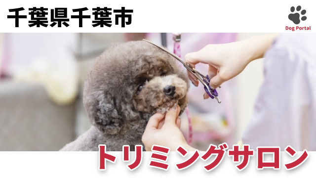 最新 千葉県千葉市のドッグラン ペット可公園 16件 最新 千葉県千葉市のドッグラン ペット可公園 16件