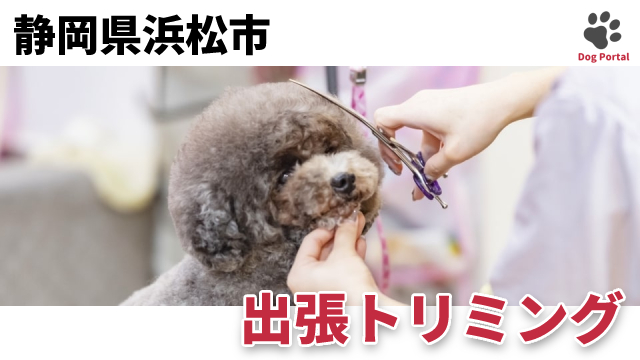 最新 静岡県浜松市の出張トリミングサービス 3件