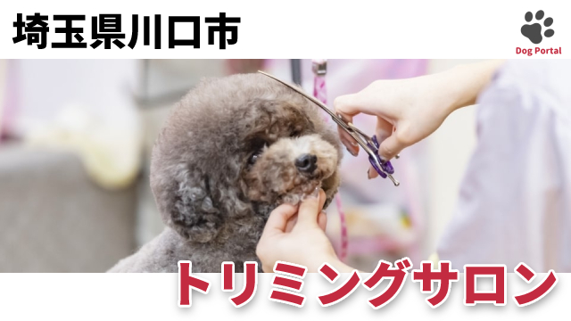 最新 埼玉県川口市のドッグラン ペット可公園 12件