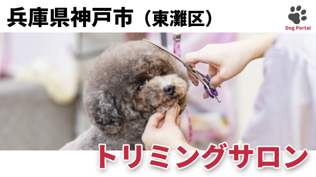 最新 神戸市東灘区のドッグラン ペット可公園 2件