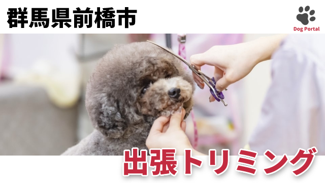 群馬県前橋市のトリミングサロン 26件