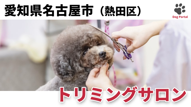 最新 名古屋市港区のトリミングサロン 15件 最新 名古屋市港区のトリミングサロン 15件