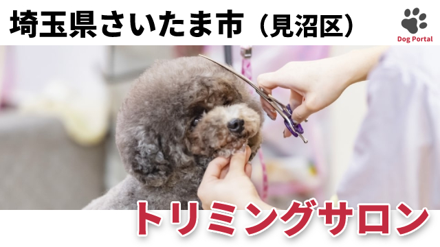 さいたま市見沼区のトリミングサロン 14件 2ページ目 さいたま市見沼区のトリミングサロン 14件 2ページ目