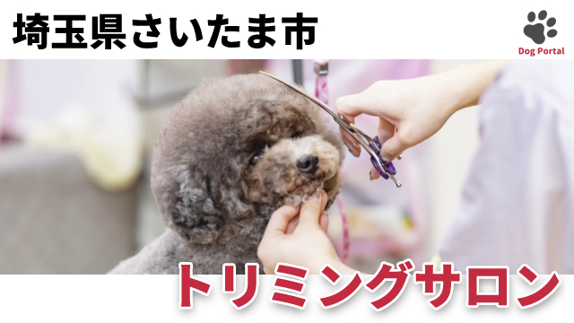 最新 埼玉県さいたま市のドッグラン ペット可公園 21件 最新 埼玉県さいたま市のドッグラン ペット可公園 21件
