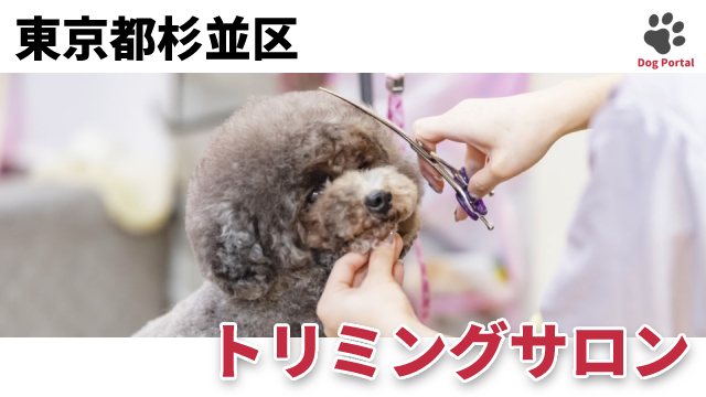 最新 東京都世田谷区のトリミングサロン 71件