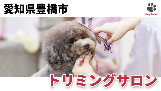 最新 愛知県豊橋市のドッグラン ペット可公園 12件