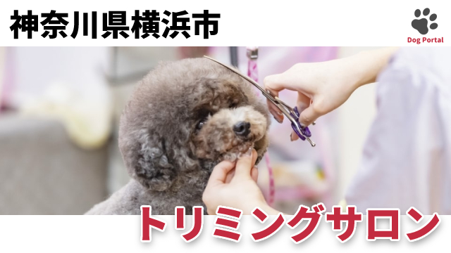 神奈川県横浜市のトリミングサロン 291件